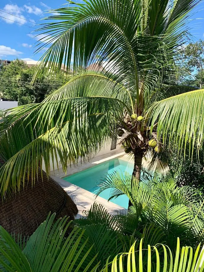 Tua Tulum Apartments Large Comfortable Pool Parking Space