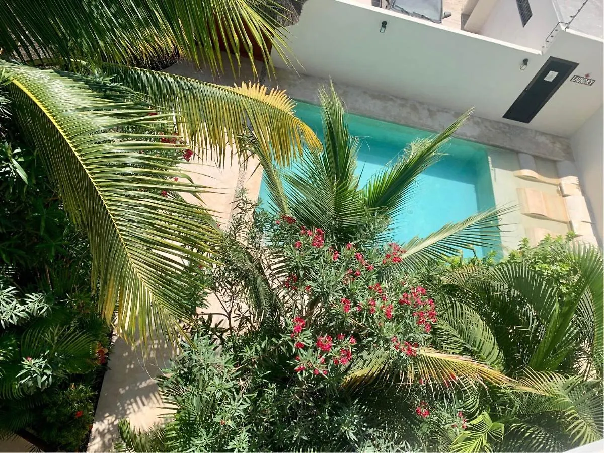 Tua Tulum Apartments Large Comfortable Pool Parking Space