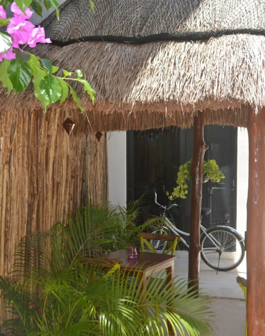 Tua Tulum Apartments Large Comfortable Pool Parking Space Mexico